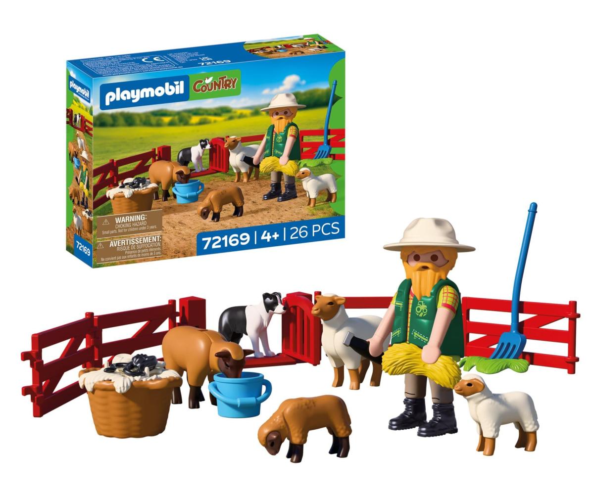 72169 berger avec enclos a moutons