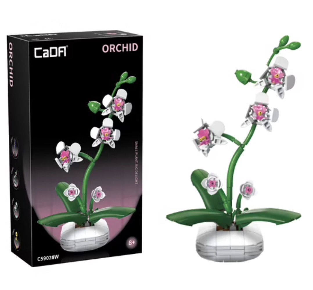 CADA - Artiste - Plante orchidee