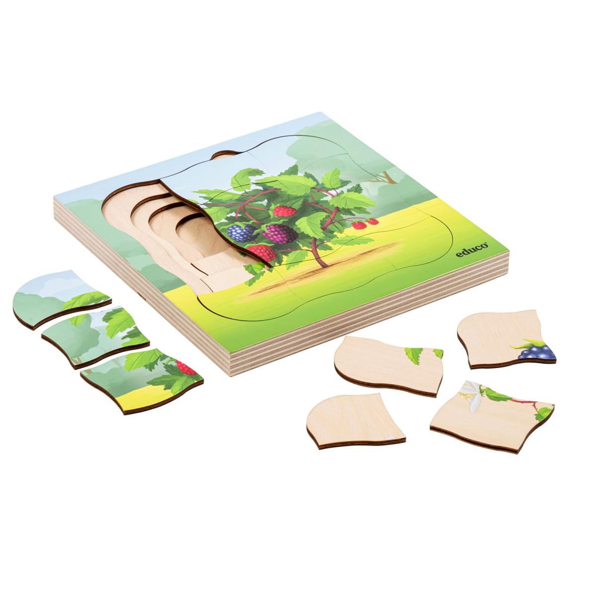 Educo Dans la forêt - le mûrier pousse — 31 pièces de puzzle