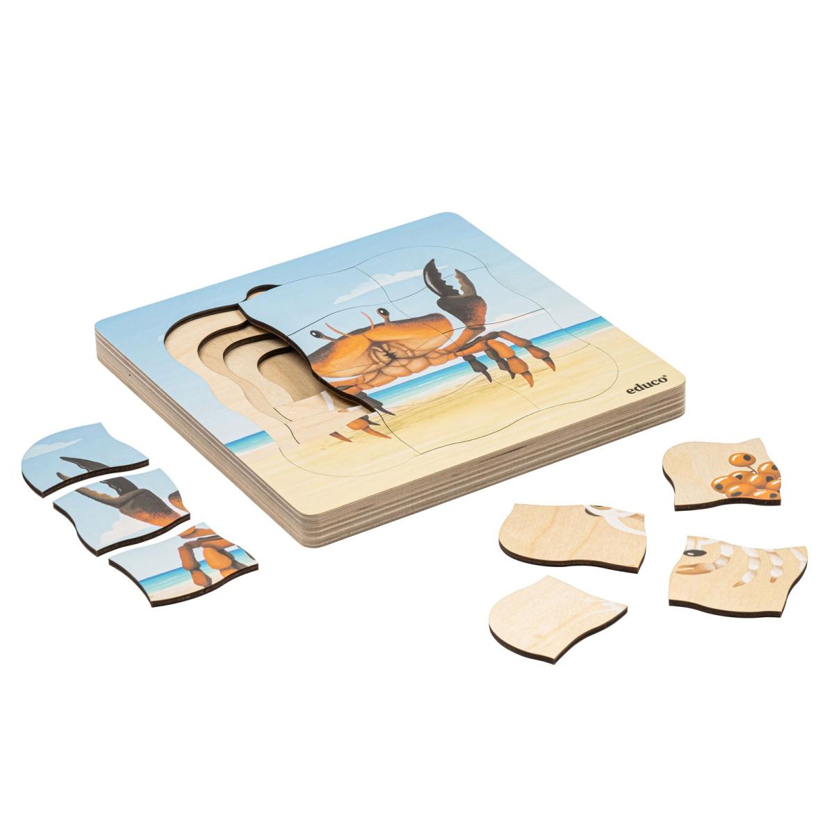 Educo Sur la plage - le crabe pousse — 31 pièces de puzzle