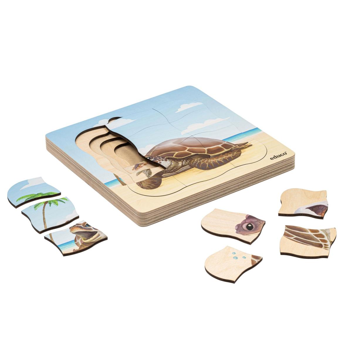 Educo Sur la plage - la tortue de mer pousse — 31 pièces de puzzle